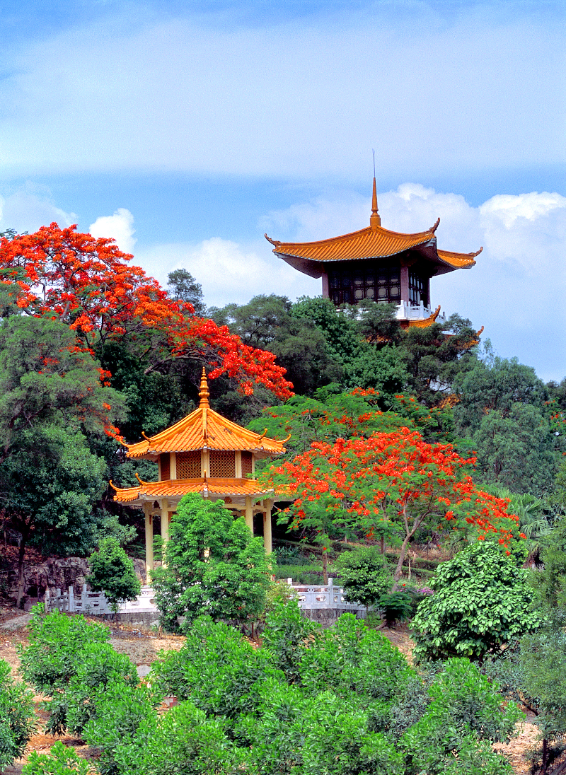 東岳公園.jpg