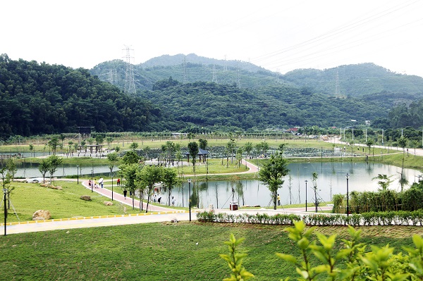 2019年9月29日，契爺石水庫濕地公園開放，生態(tài)高顏值。 (1).jpg