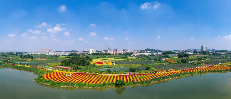 荷花文旅產(chǎn)業(yè)園 (2).jpg